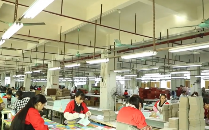 China Zhuhai Danyang Technology Co., Ltd Unternehmensprofil 1
