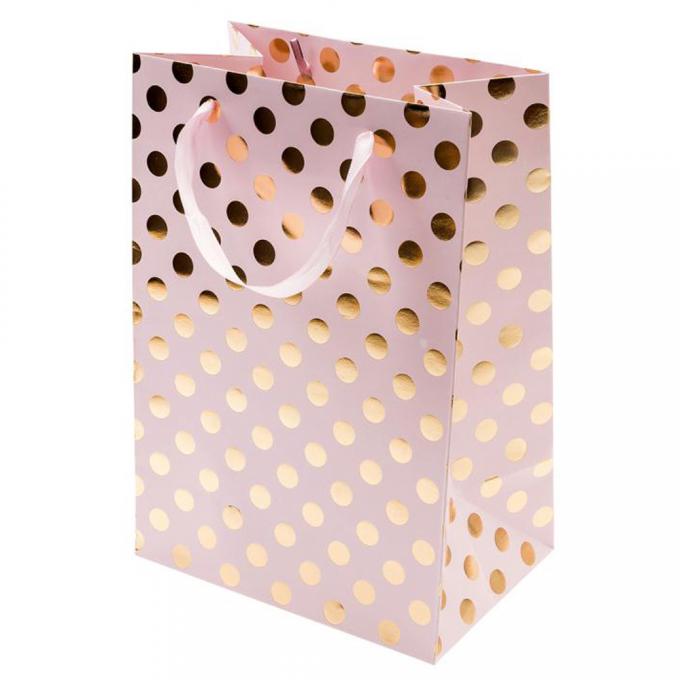 geschenk-Drucksache-Fördermaschinen-Taschen 100gsm 128gsm Luxusmit Band-Griff 2